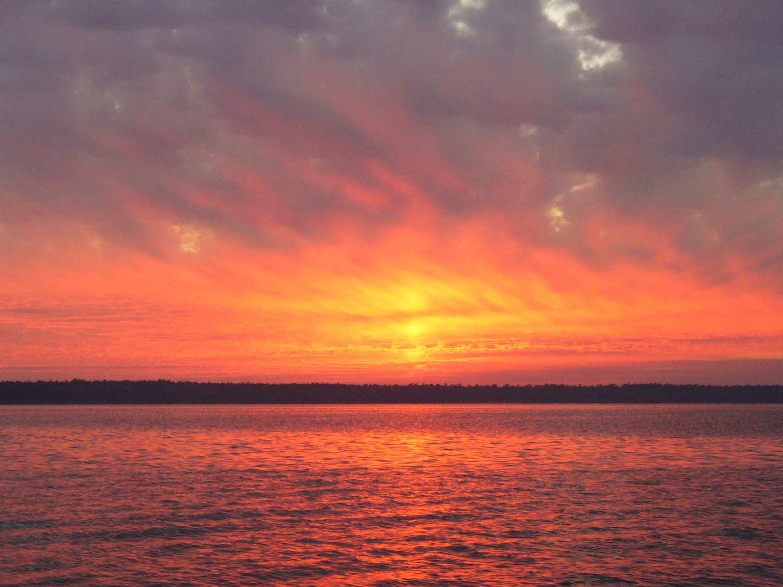 Resources for Families Impacted by the Camp Lejeune Water Crisis
